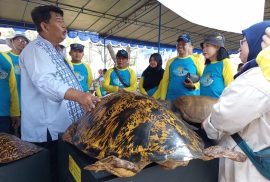 Gita Laut 2026 di Pantai Congot, Museum Biologi Hadirkan Koleksi Fauna dan Pesan Konservasi